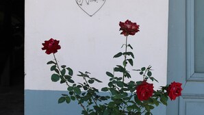 Een muur versierd met hartjes, het getal '11' en een grote metalen vaas met rozen.