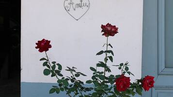 DĂ©tail de lâextĂ©rieur