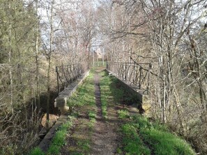 الإطلالة من المنشأة