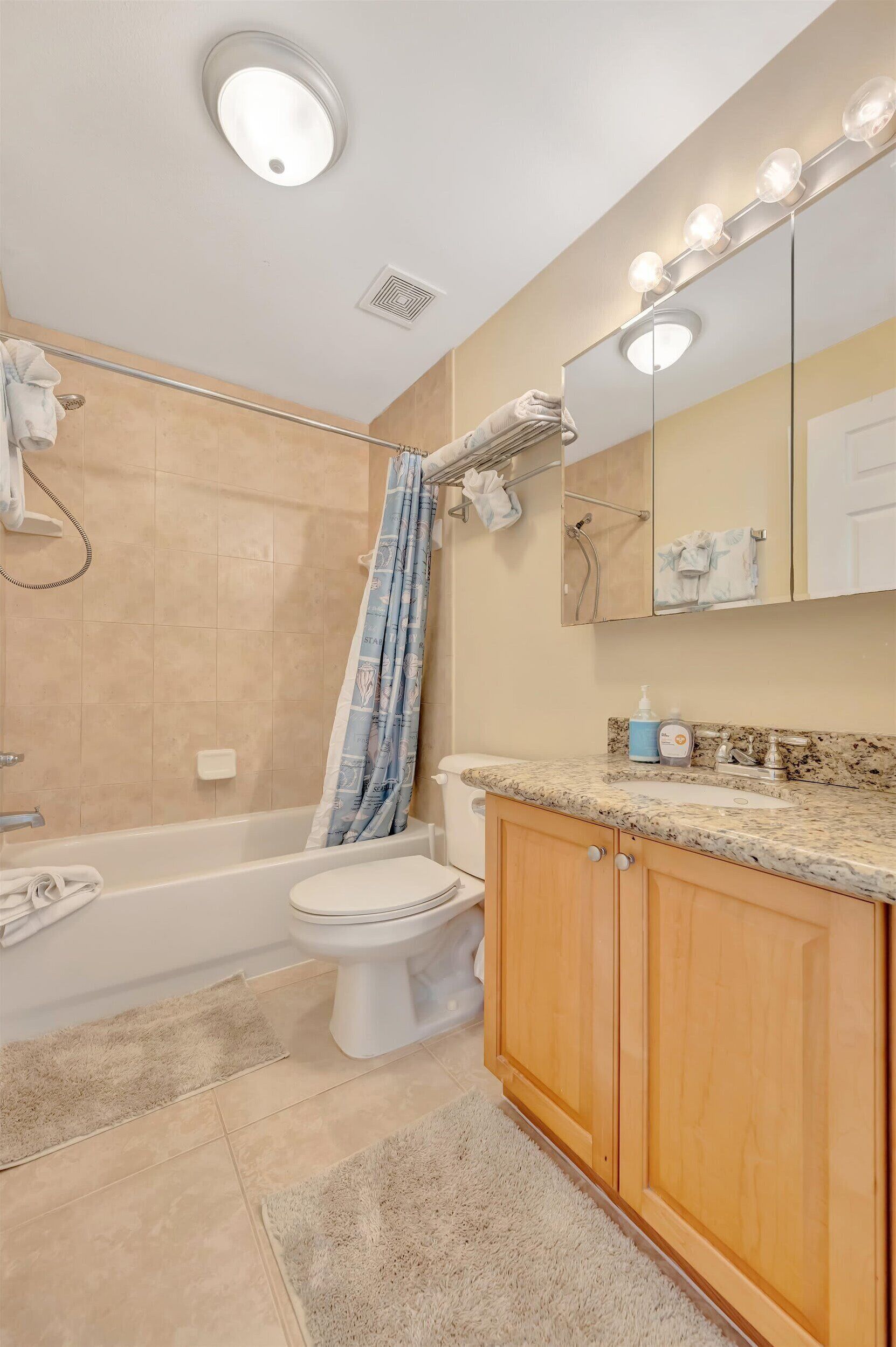 Appartamento, accessibile ai disabili | Bagno