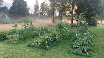 Nhà | Ngoại thất