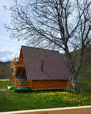 Exterior - Svanieri cozy cottage in the mountains (Mestia Municipality)