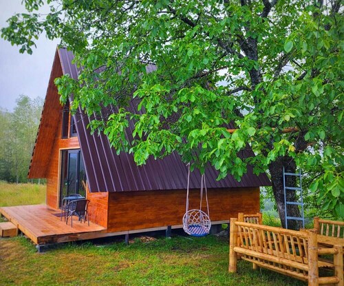 Svanieri cozy cottage in the mountains