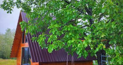 Svanieri cozy cottage in the mountains