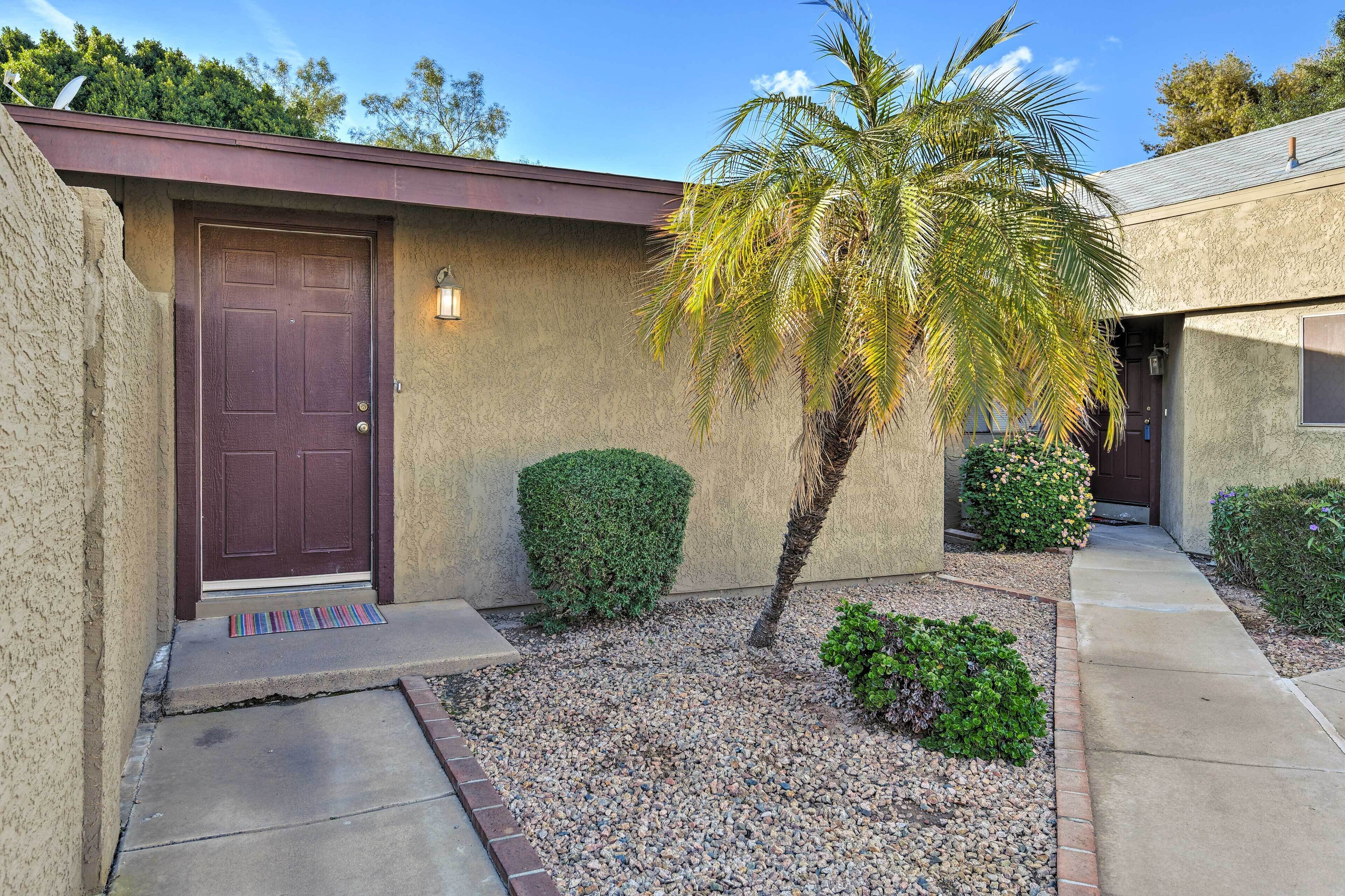 A residential house with a brown door, a small garden with gravel, and a palm tree.