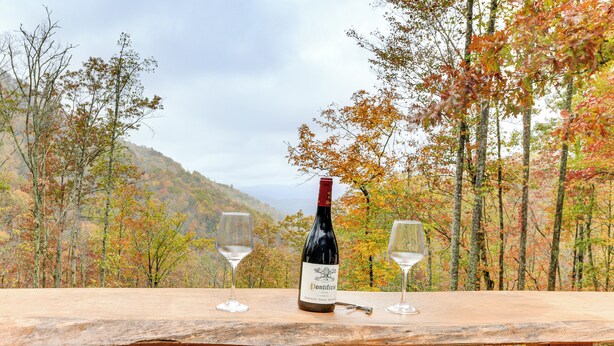 Una bottiglia di vino e due bicchieri su un tavolo di legno, con vista su alberi e colline autunnali sullo sfondo.