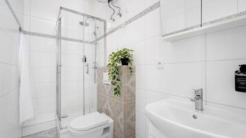 A modern bathroom with a glass-enclosed shower, a white toilet, and a sink with a mirror.