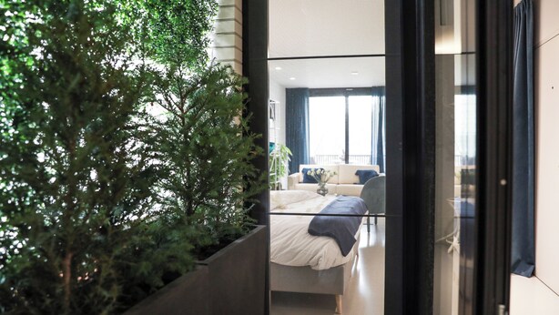 A modern hotel room with a large window, a bed, and a potted plant. - Suite Aux Anges (Antwerp)
