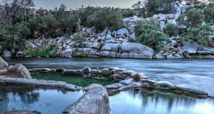 Huth Street Haven Sum