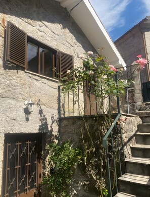 Detalle del exterior