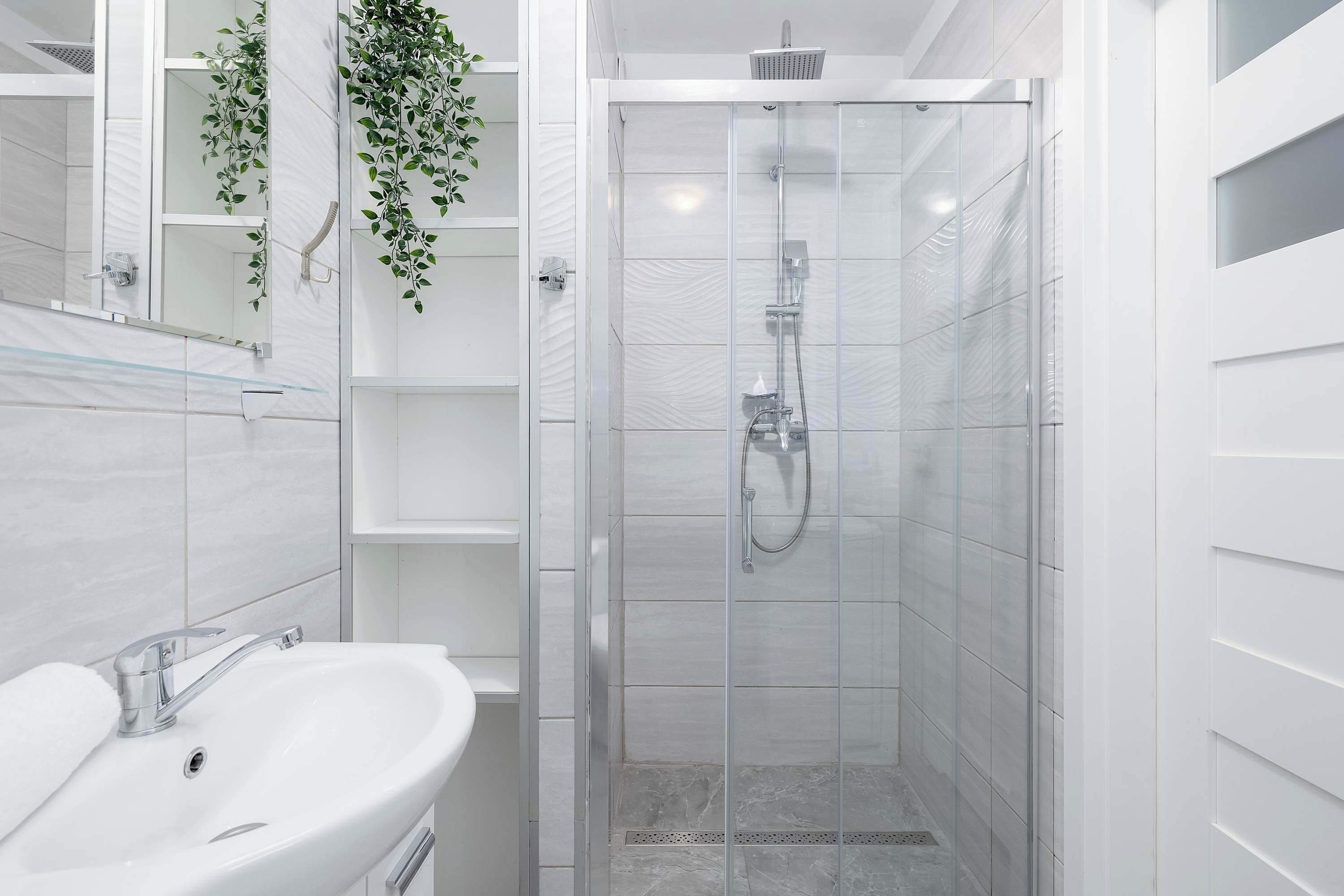 A modern bathroom with a glass-enclosed shower, a white sink, and a mirror with a plant.