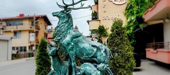 Ardo Spa Sarnitsa Hotel and Restaurant