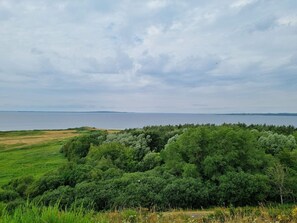 A coastal landscape with dense greenery and a view of the sea. - 4 Star Holiday Home in Ranum (Ranum)