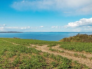 A coastal landscape with a field of crops and a view of the sea. - 4 Star Holiday Home in Ranum (Ranum)