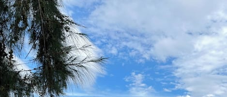 Maison, 2 chambres, fumeur, balcon | Plage
