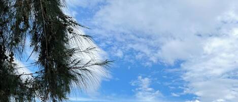 House, 2 Bedrooms, Smoking, Ocean View | Beach