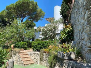 Overnattingsstedets uteområder