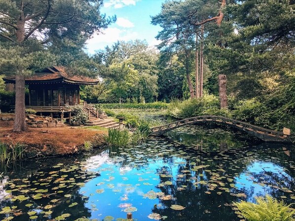 المنطقة المحيطة بالمنشأة