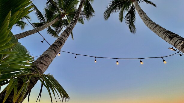 A beach scene with palm trees and string lights. - Villa Tropical Studio No. 9, near the beach, Cabarete (Cabarete)