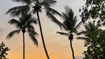 Am Strand, Liegestühle, Strandtücher