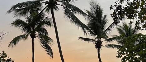 在海滩、沙滩椅、沙滩毛巾