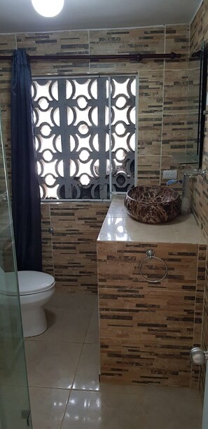 Regadera, secadora de cabello, toallas, jabón 