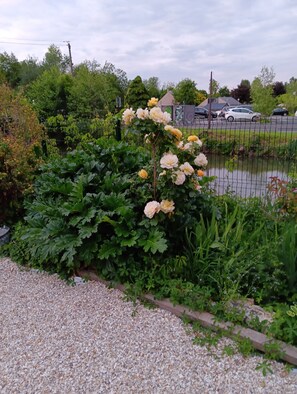 A garden with a gravel path, a fence, and a body of water.