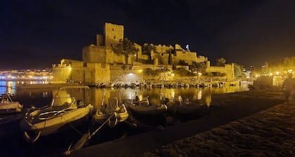 Collioure Waterfront, T3, sea view, large terrace, beach, parking