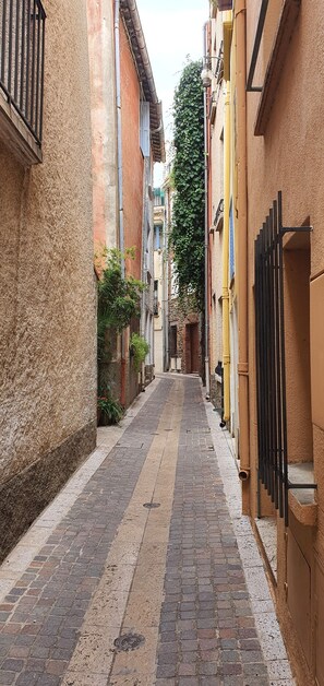 Property grounds - Collioure Waterfront, T3, sea view, large terrace, beach, parking (Collioure)