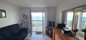 TV, stereo - Collioure Waterfront, T3, sea view, large terrace, beach, parking (Collioure)