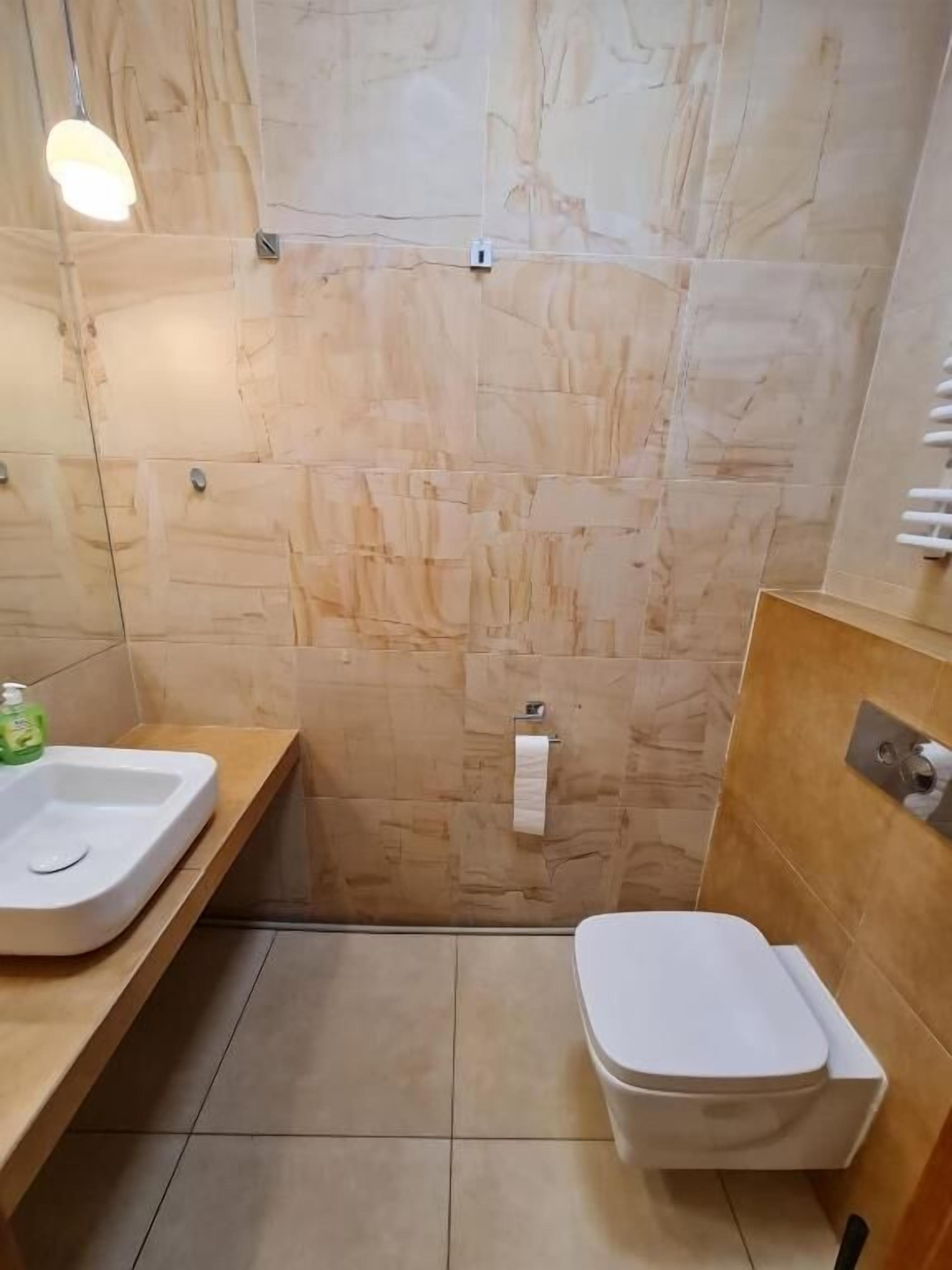 Hair dryer, towels, soap, toilet paper