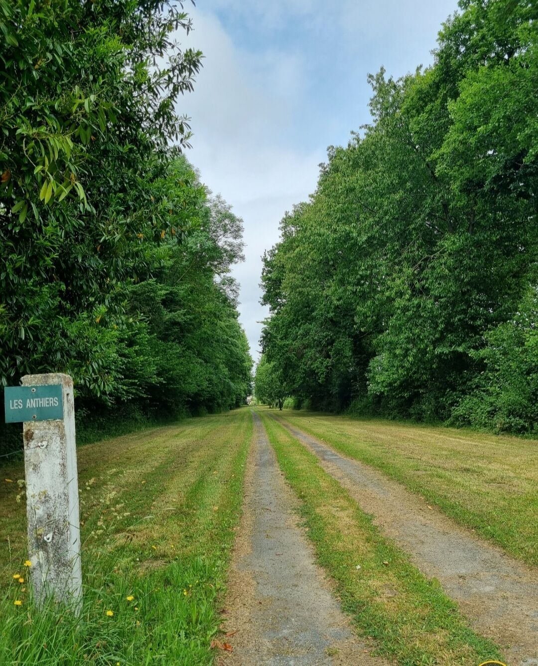 A rural path flanked by dense green trees, leading to a sign reading "LES ANTIERS".