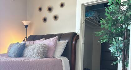 Puff, Puffs Paws in the city of Denver!