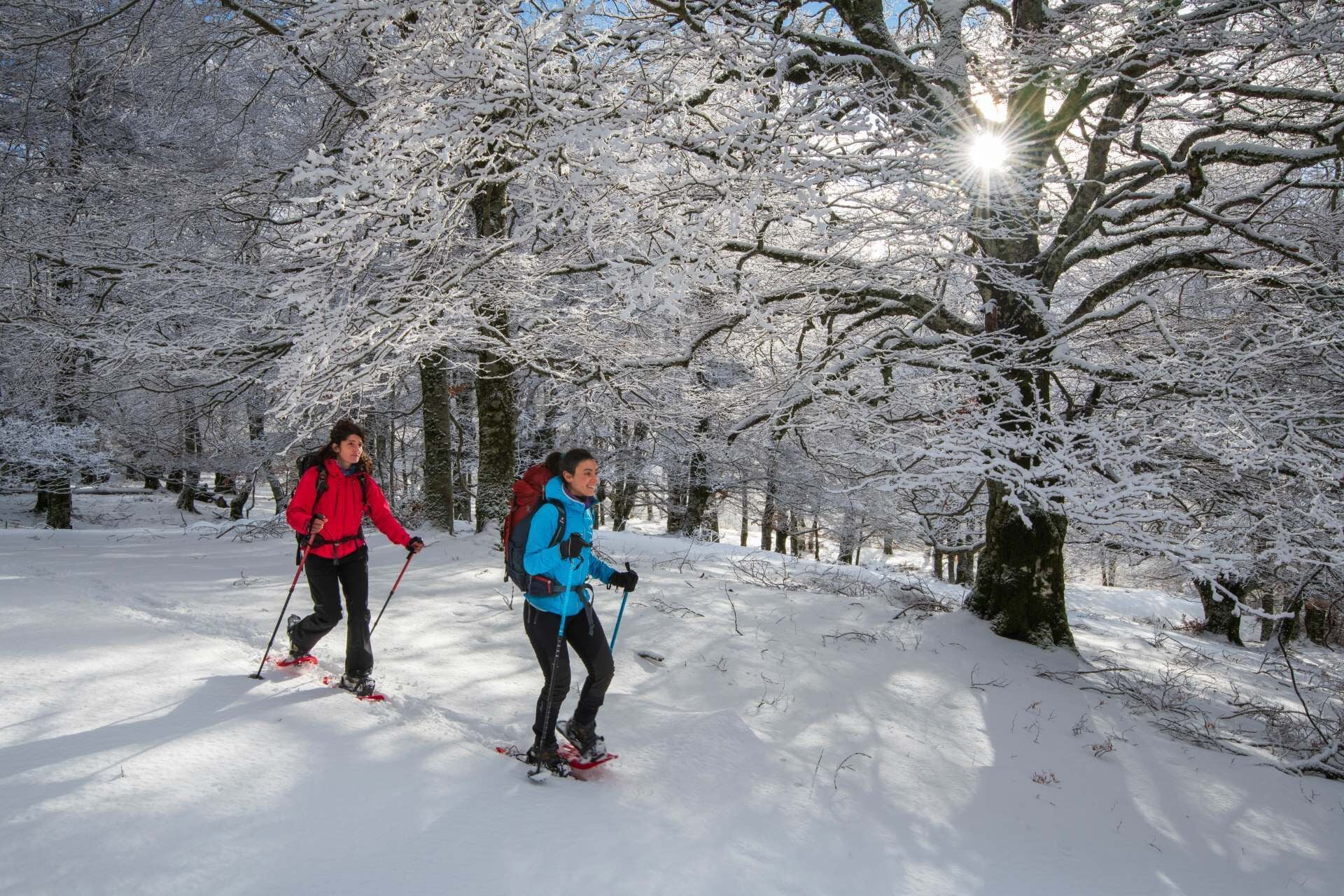 Schneeschuhwandern