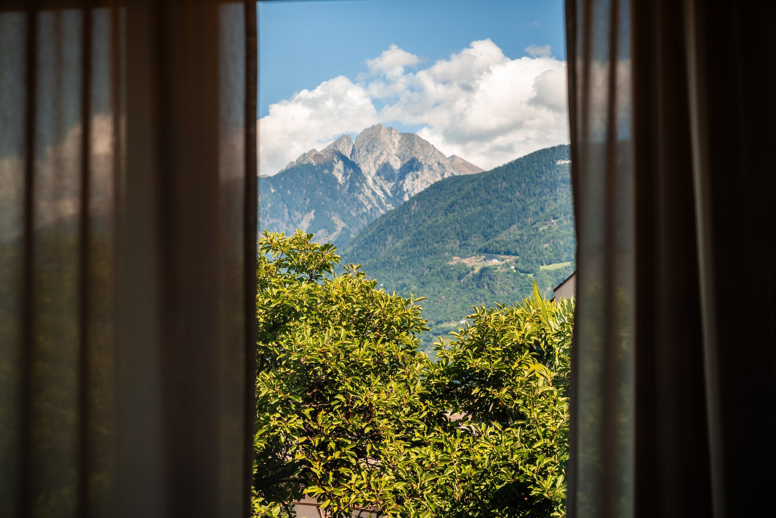 Blick auf Berge durch Vorhänge, mit viel Grün im Vordergrund.