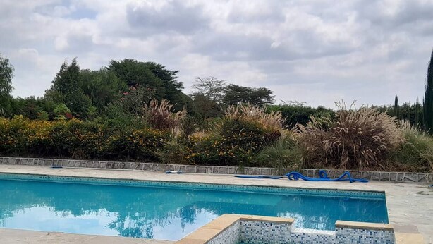 A rectangular swimming pool with clear blue water, surrounded by a stone deck and bordered by a variety of plants and shrubs. - Olturoto Pumzika (Olturoto)