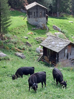 Habitación doble Confort, balcón, vista a la montaña | Vista desde la propiedad