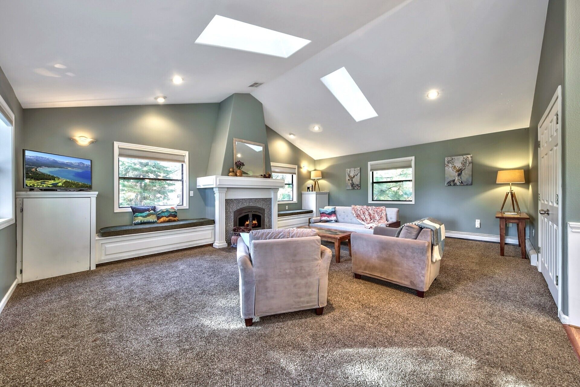 Smart TV, fireplace, books