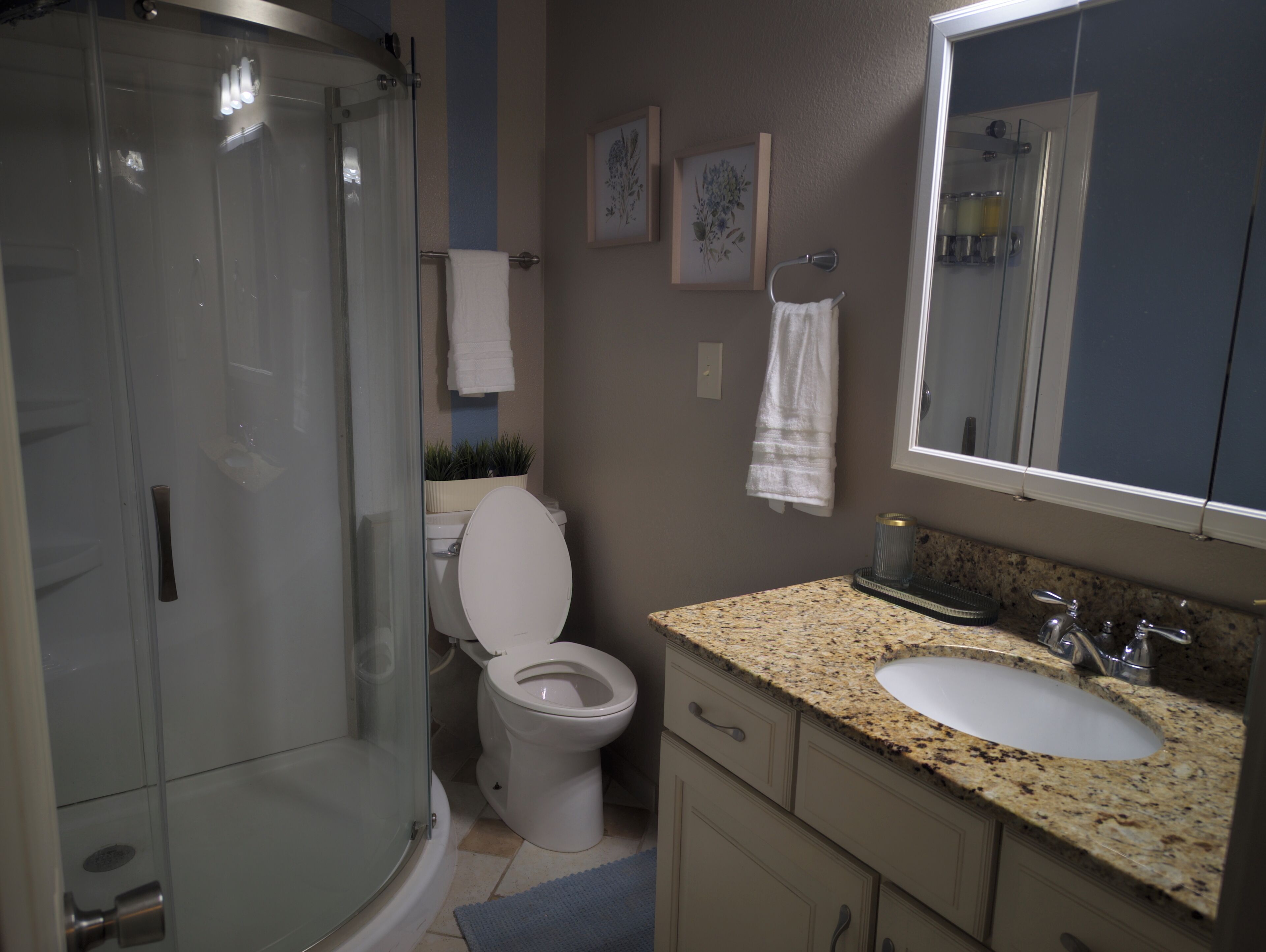 Une salle de bain avec une douche à parois de verre, des toilettes, un lavabo et un miroir.