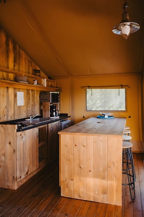 Fridge, microwave, stovetop, coffee/tea maker