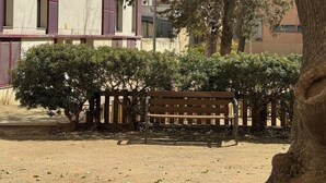 Um edifício com fachada moderna, um banco e uma árvore ao primeiro plano.