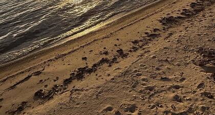 Wonderful 3-bedroom lake cabin on Big Stone Lake minutes away from Ortonville MN