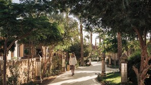 A pathway lined with trees and decorative lanterns, leading to a building with traditional architecture. - Al Kasr Sahl Hasheesh-Ultra All-Inclusive (Sahl Hasheeh)