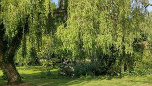 A lush garden with a large weeping willow tree, a well-maintained lawn, and blooming flowers. - Quiet house in a large park. Close to the coast and shops! (Lamballe-Armor)