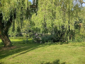 المنطقة المحيطة بالمنشأة