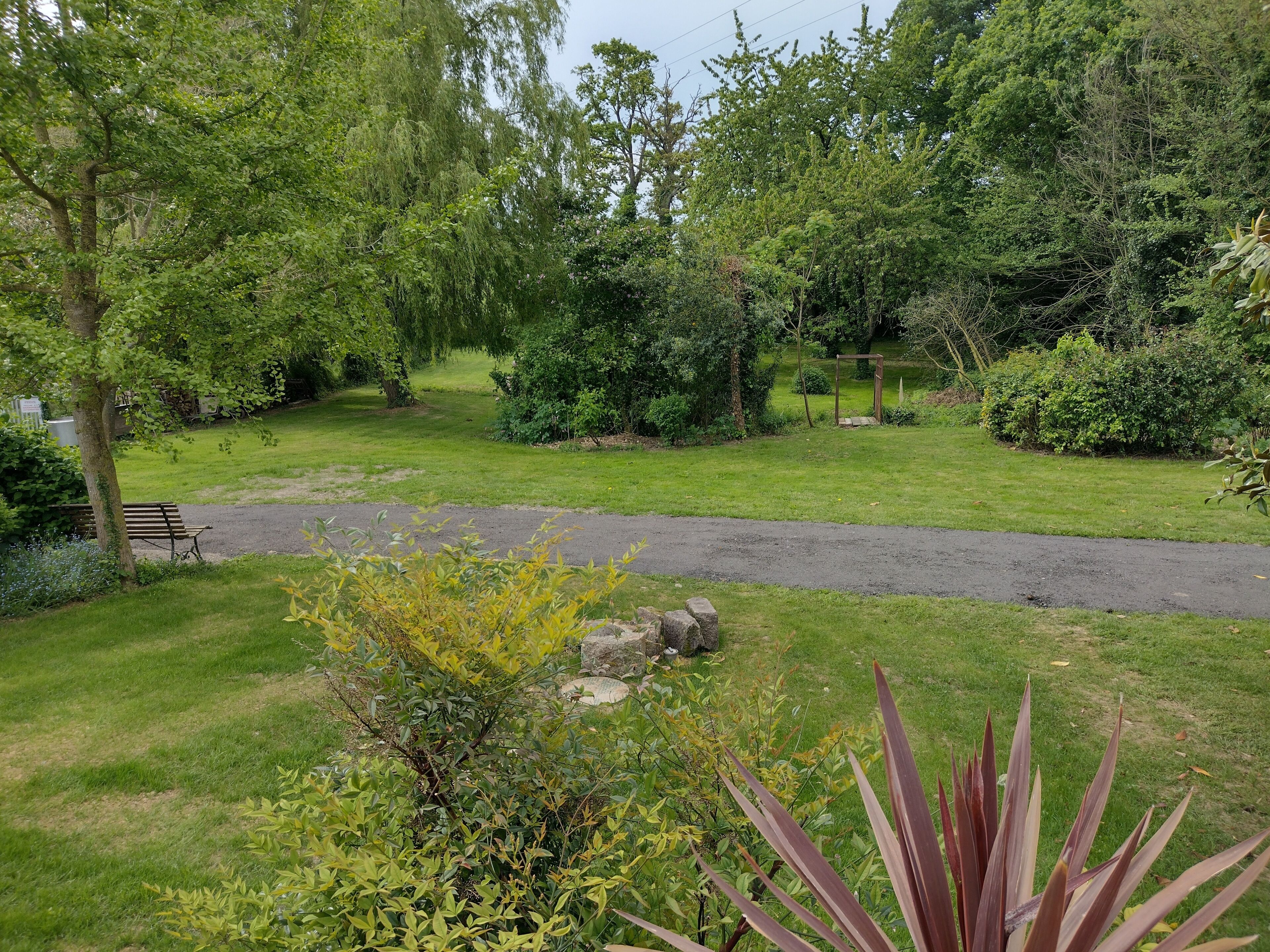 Un parc doté d’un sentier dallé, de bancs et de diverses plantes vertes.