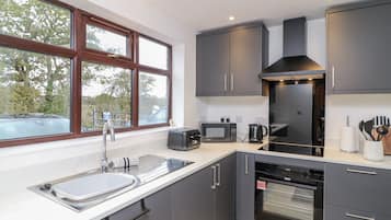 Fridge, toaster, cookware/dishes/utensils
