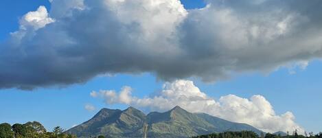 陽台景觀