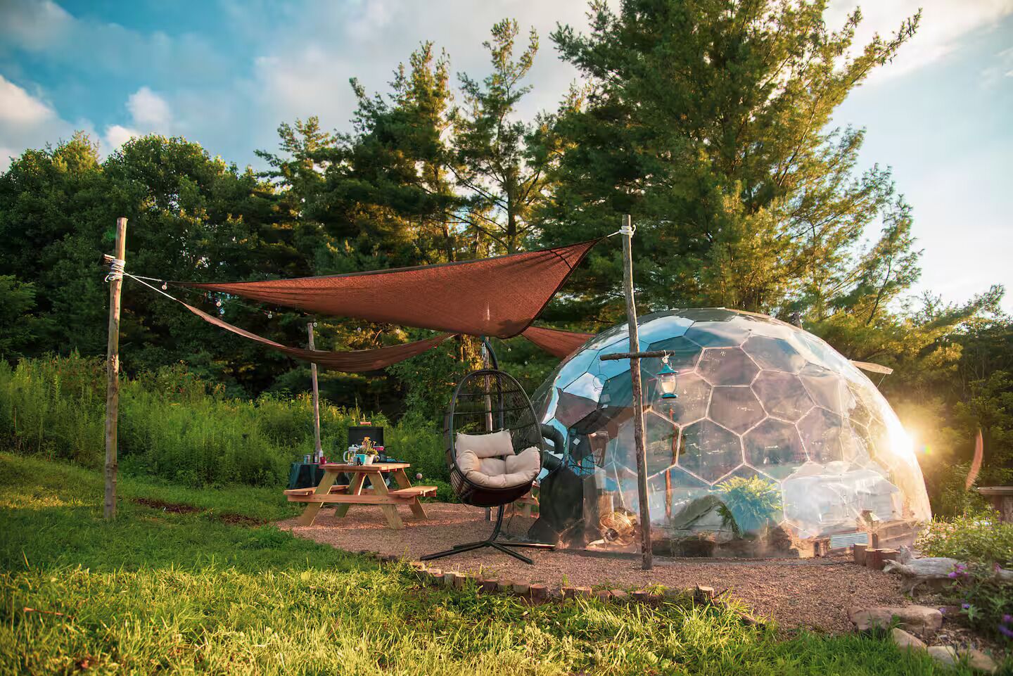 Restauration en plein air