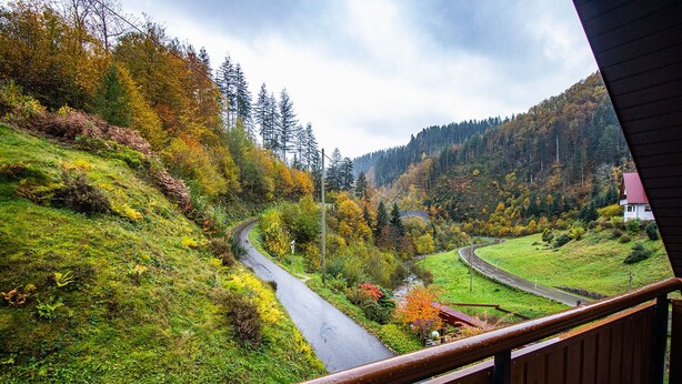 Una vista panorámica de un camino serpenteante a través de un valle exuberante, con follaje otoñal, baranda de madera y una casa a lo lejos.